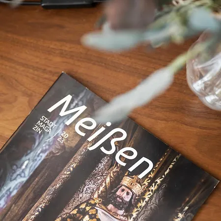 Solaris - Cozyhomz - Altstadt - An Der Elbe - Fuer Paare - S-bahn Dd *