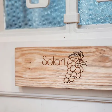 Solaris - Cozyhomz - Altstadt - An Der Elbe - Fuer Paare - S-bahn Dd Apartment *